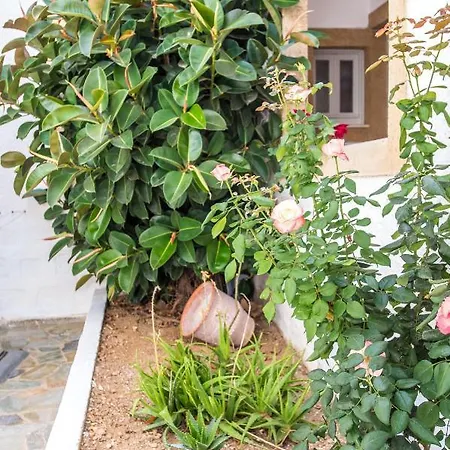 Joanna - 2* Grikos Bay (Patmos)