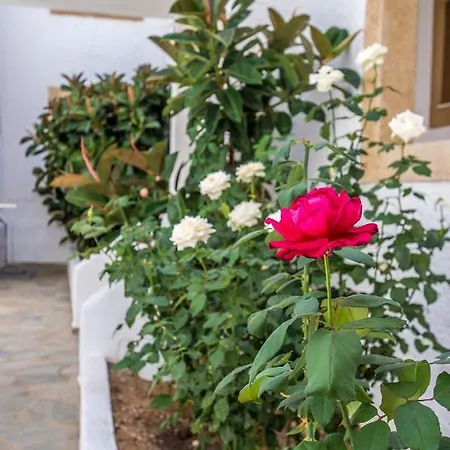 Lägenhetshotell Joanna - 2*