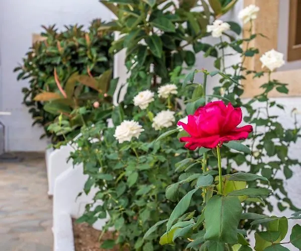 Lejlighedshotel Joanna - 2*
