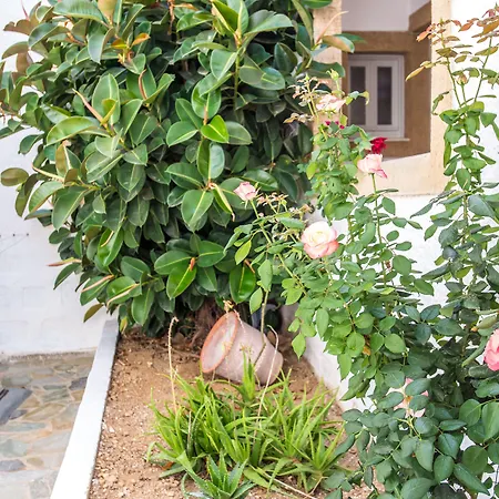 ιωάννα Ξενοδοχείο με διαμερίσματα 2*